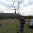 P�trse poml�zka